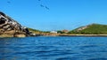 Isla Isabel off MexicoÃ¢â¬â¢s Riviera Nayarit coast.